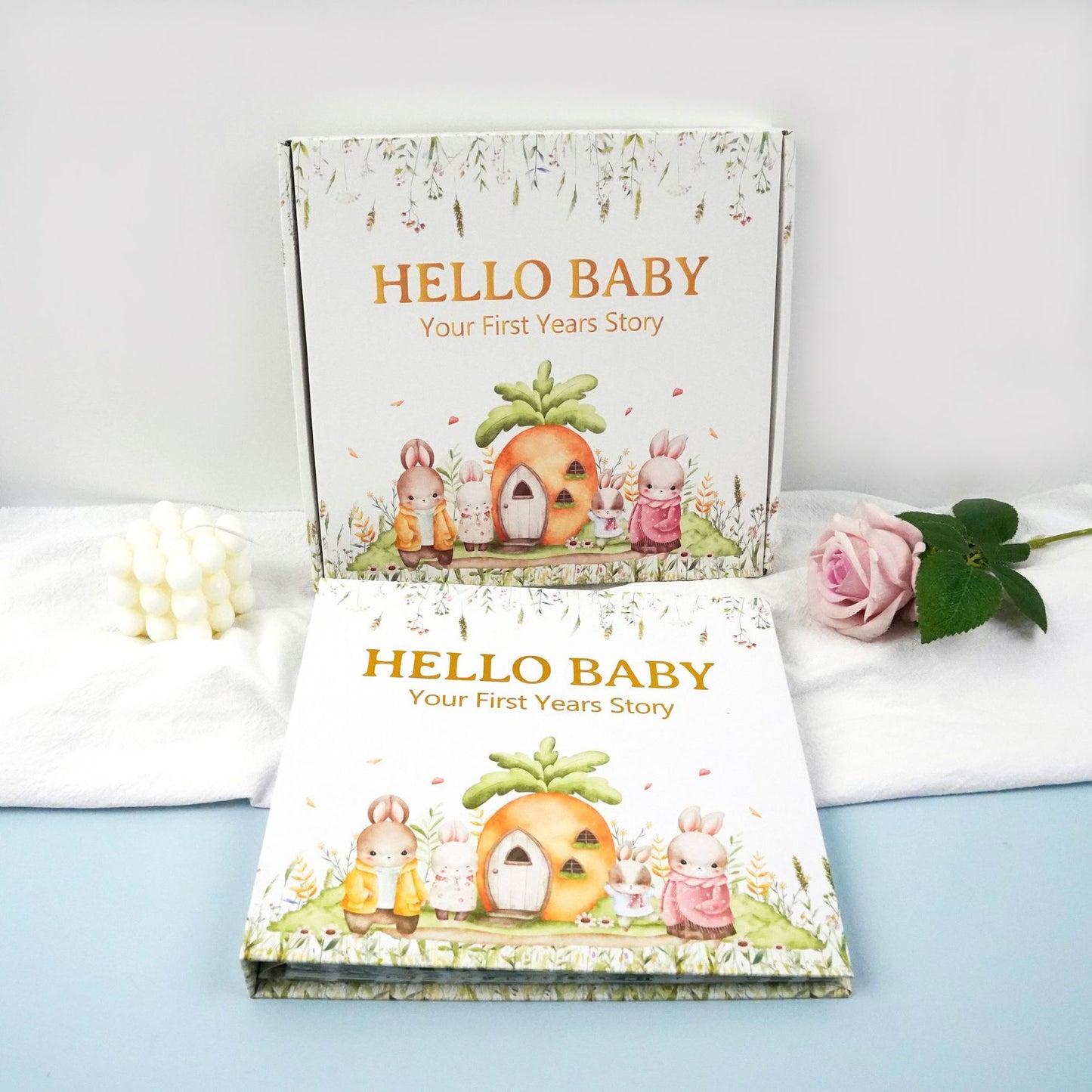'Hello Baby' Your First Years Story, Forest Bunny Family Edition on a light blue surface