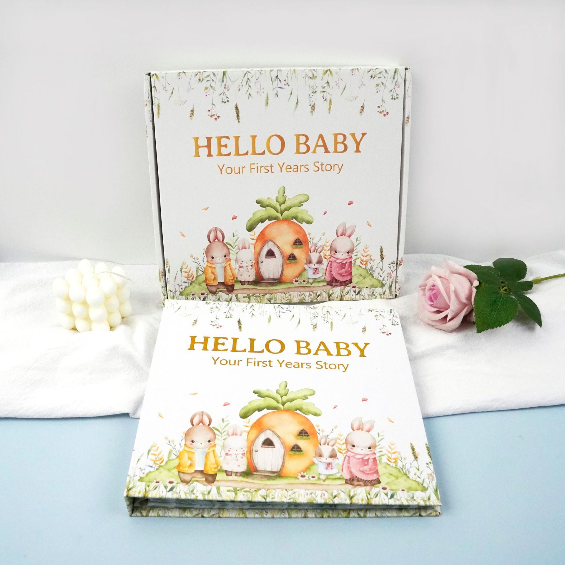 'Hello Baby' Your First Years Story, Forest Bunny Family Edition on a light blue surface