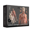 Pikkii: Human Anatomy 3 Layer 303 Piece Jigsaw Puzzle