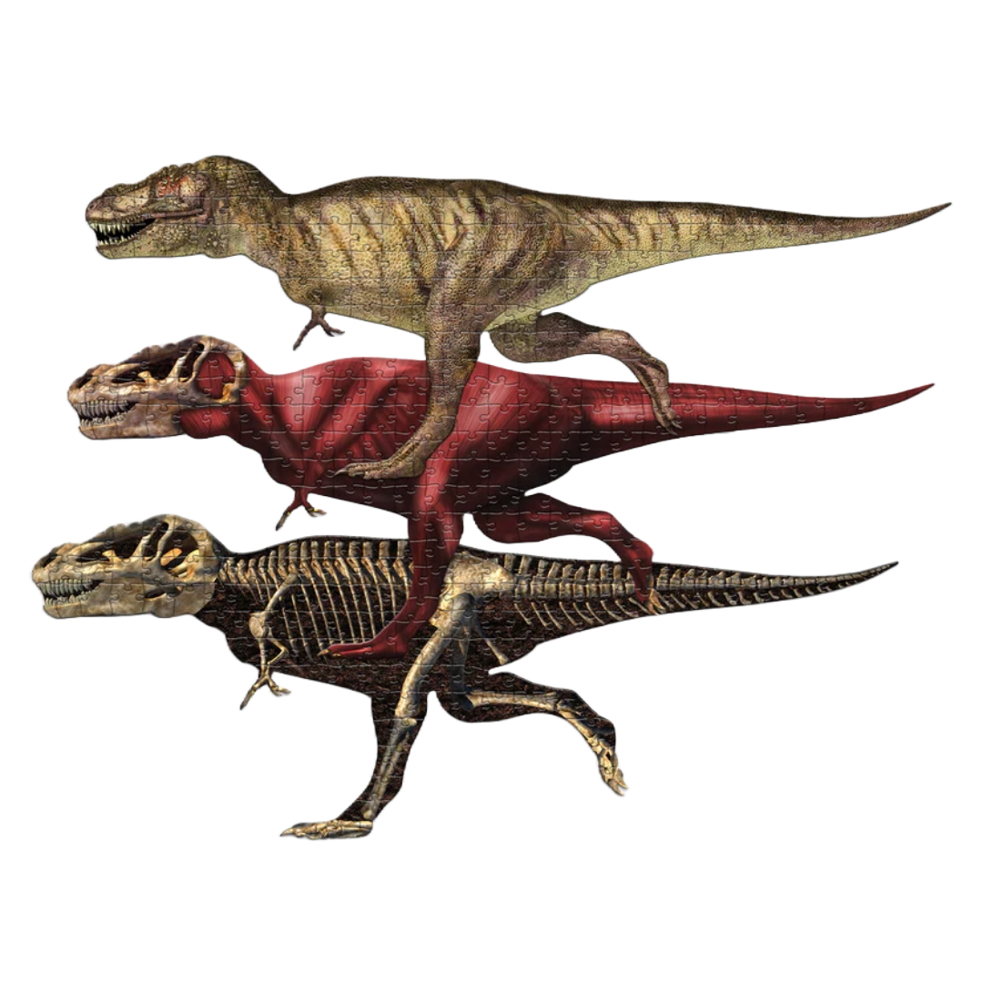 Pikkii: T-Rex 3 Layer 360 Piece Jigsaw Puzzle