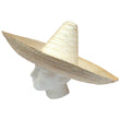 Mexican Sombrero Beige Straw Hat Party Costume