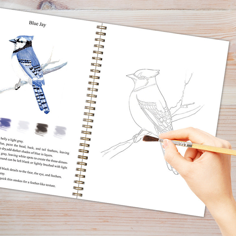 Bird Watercolour Painting Set 2 Pack – Art Workbook Kit with Paints & 200gsm Paper