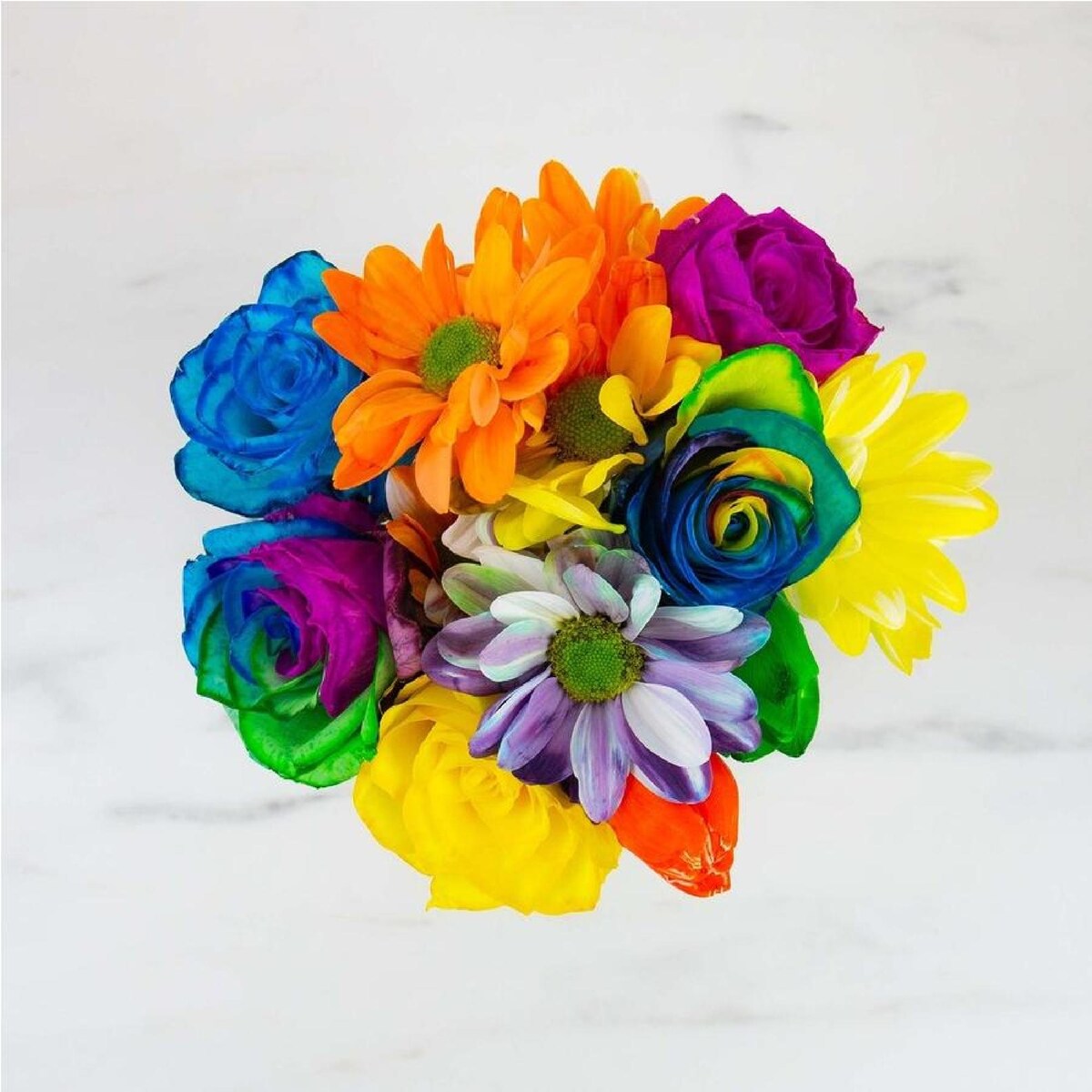 DIY Rainbow Flower Dye Kit – Kids & Family Colour Craft Set with 6 Inks, Gloves & Flower Scissors